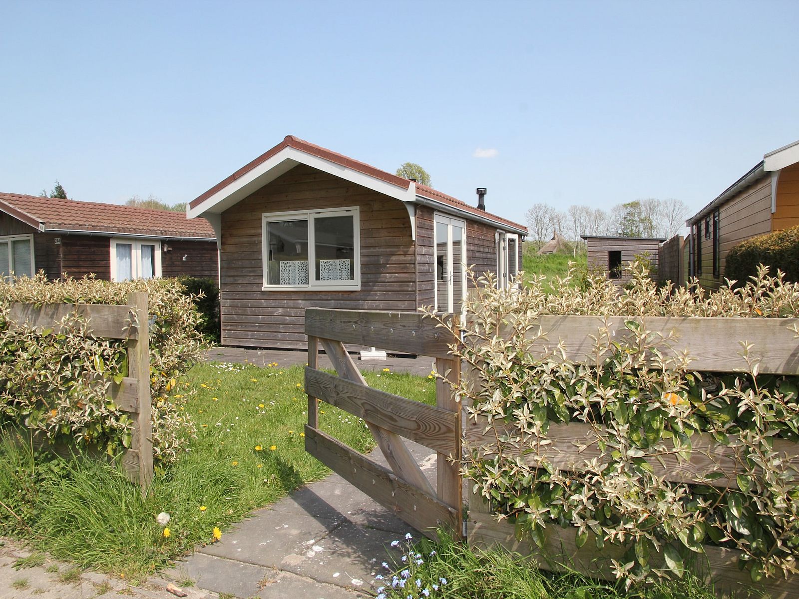 Unterkunft 454209 - Bungalow Noordzeekust - Landelijk bij Zee