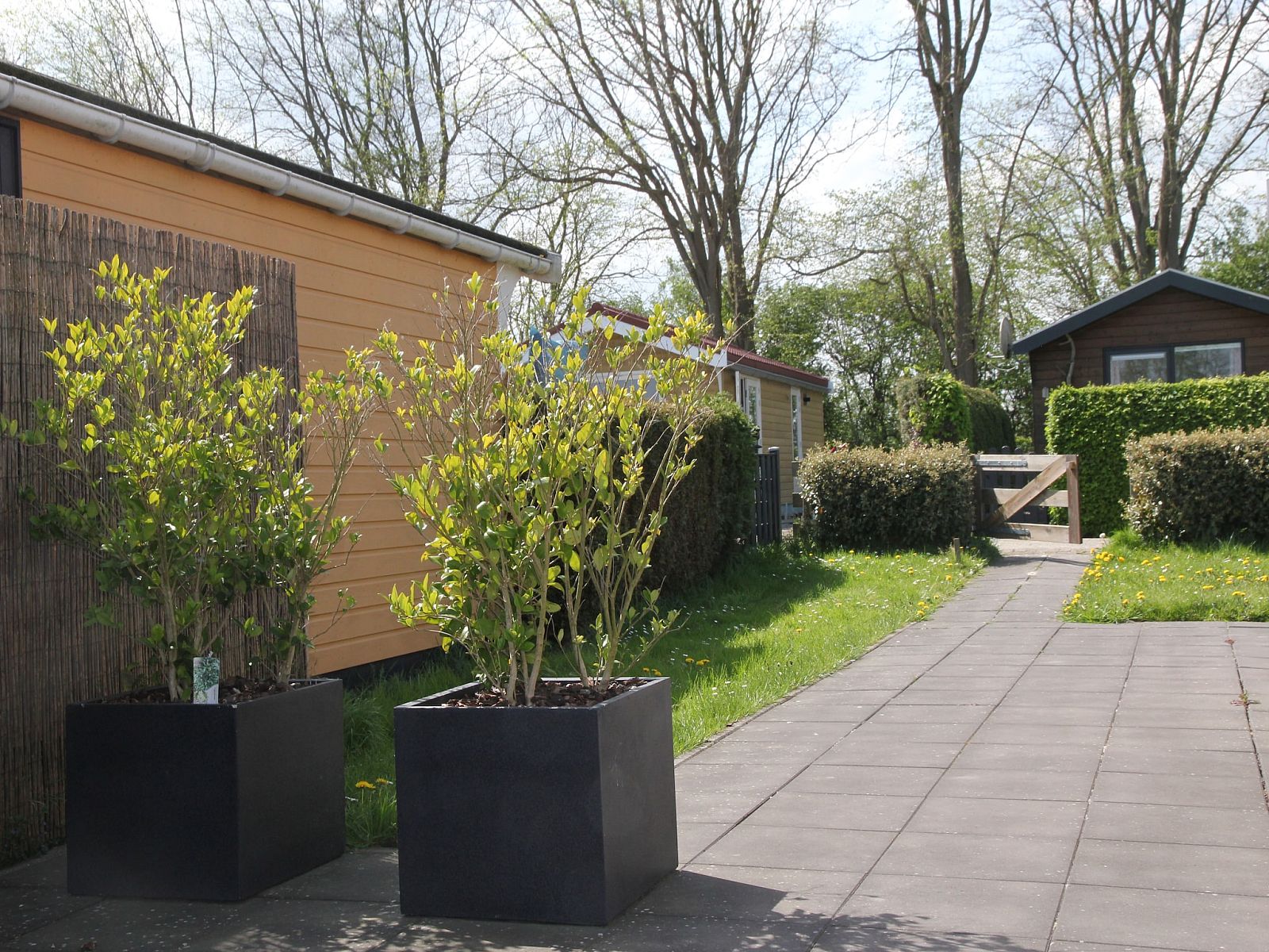 Unterkunft 454209 - Bungalow Noordzeekust - Landelijk bij Zee