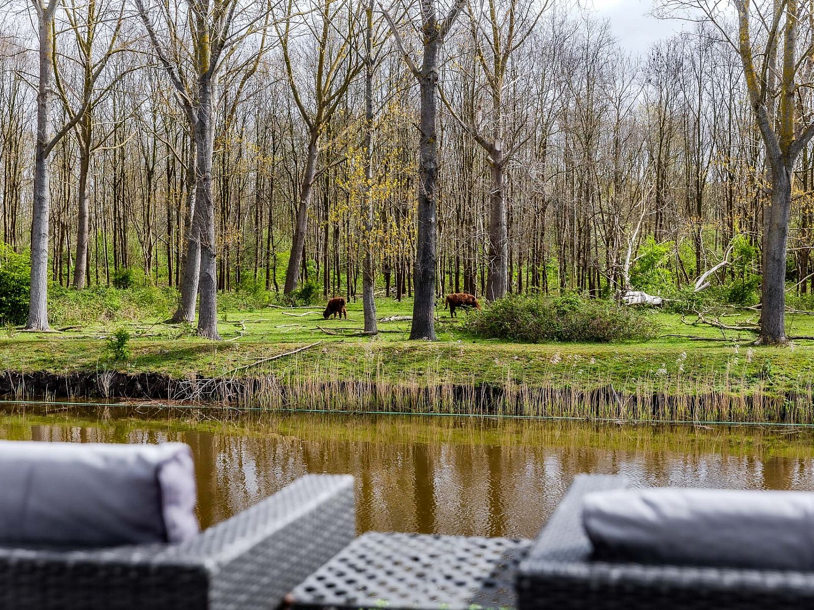 Verblijf 454926 - Vakantiewoning Noordzeekust - Vrijstaande woning in Halfweg