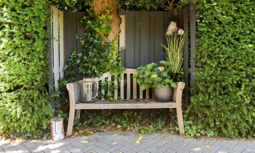 Verblijf 455601 - Vakantiewoning Noordzeekust - Casa Allegria