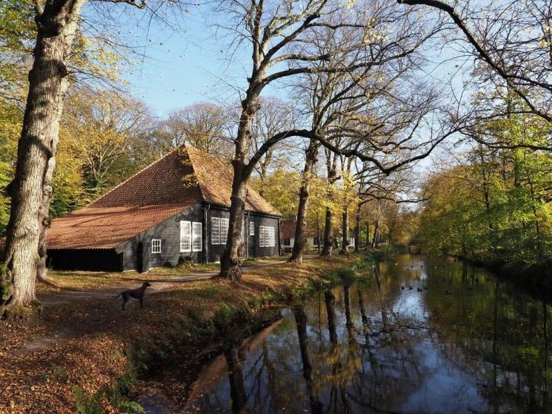 Verblijf 455601 - Vakantiewoning Noordzeekust - Casa Allegria