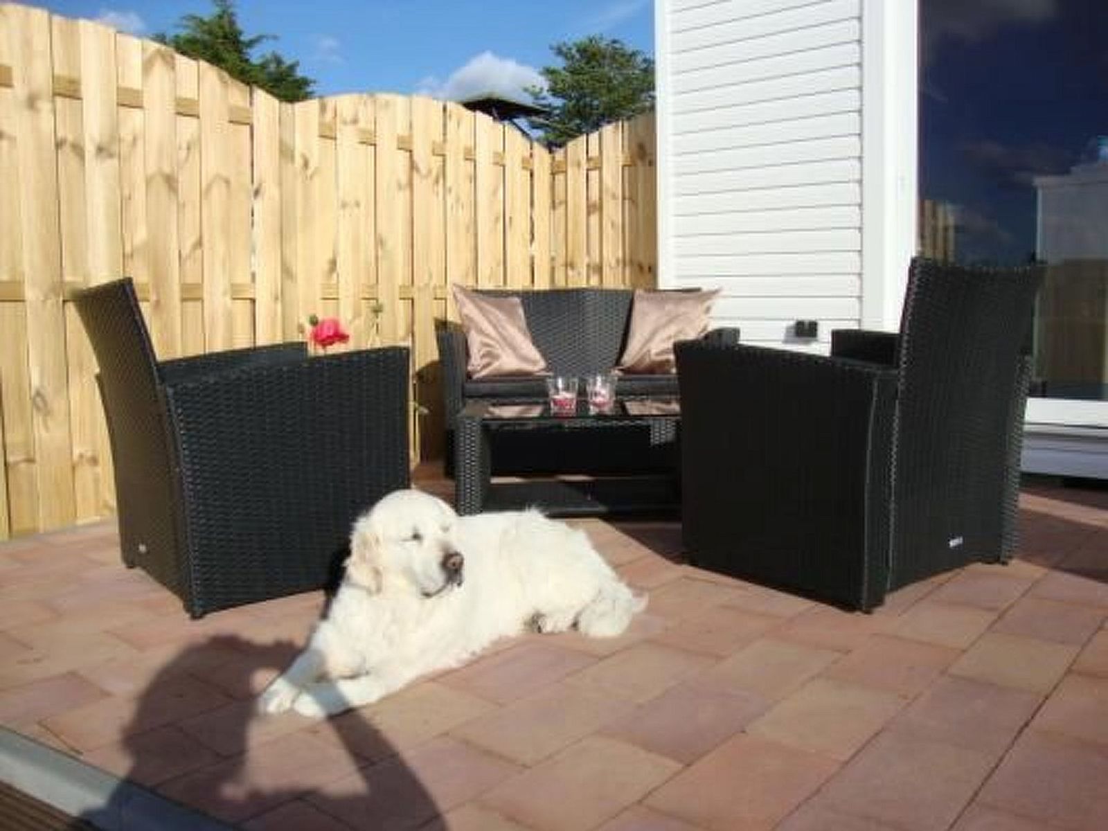 Guest house 460109 - Holiday property IJsselmeerkust - Vakantiehuis Auszeit direkt am Wasser