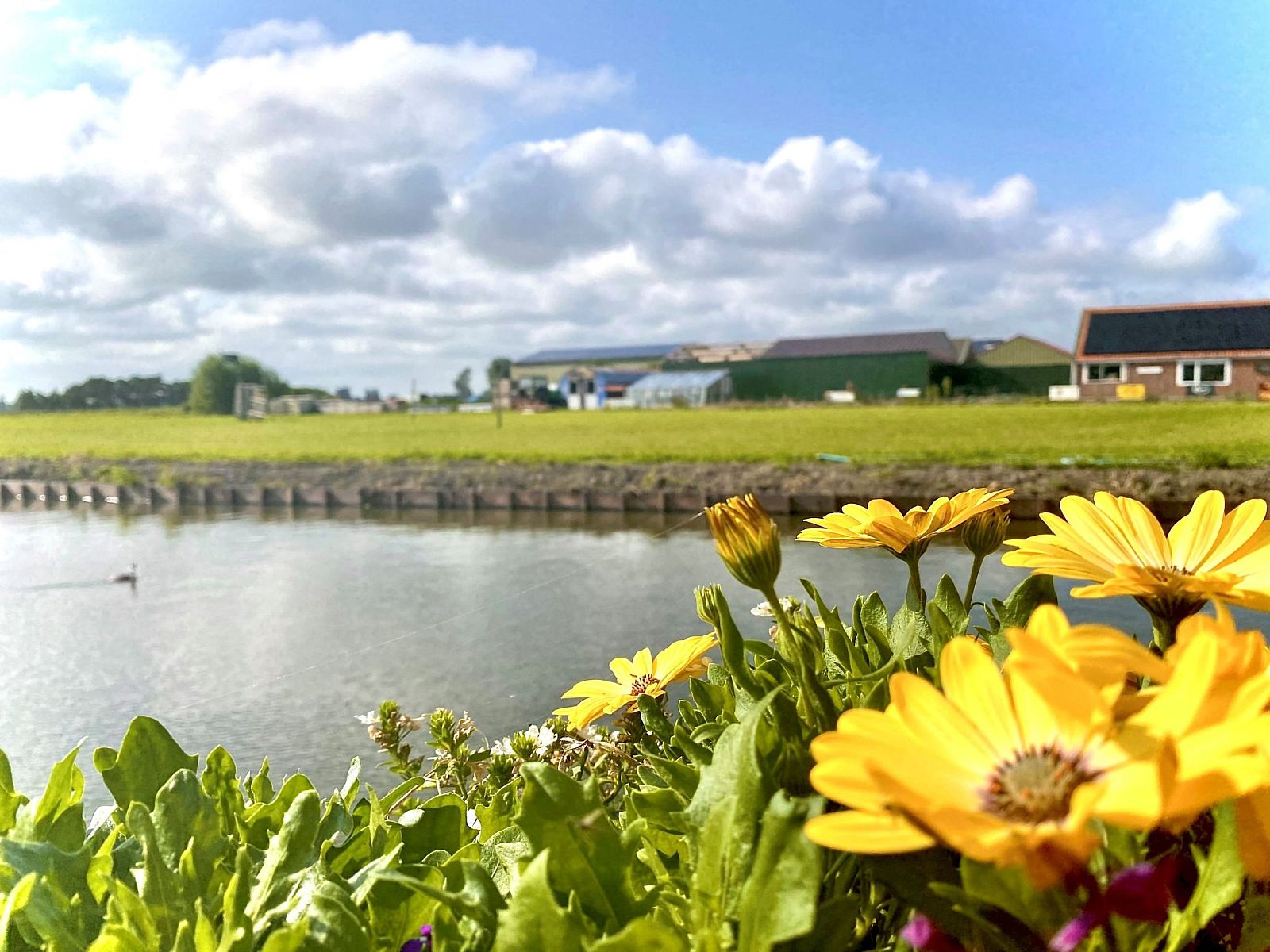 Unterkunft 460120 - Ferienhaus IJsselmeerkust - Vakantiehuis Ela mit Holzgrill, Garten und Terrasse