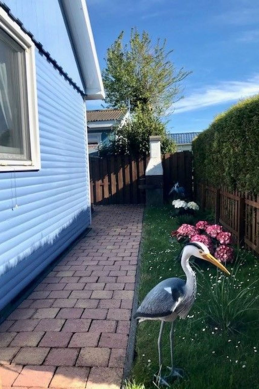 Unterkunft 460121 - Ferienhaus IJsselmeerkust - Vakantiehuis Haus DE BLAUWE REIGER