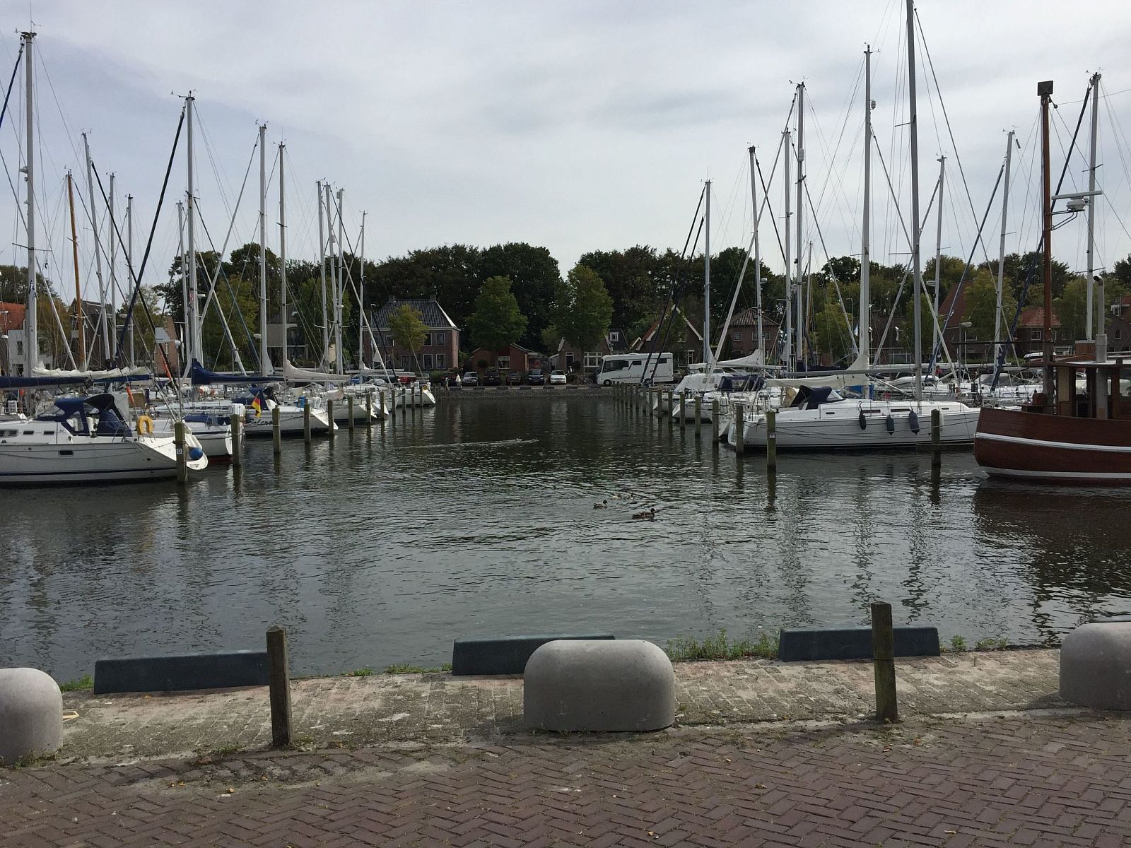 Unterkunft 460126 - Ferienhaus IJsselmeerkust - Vakantiehuis Chalet op Zee