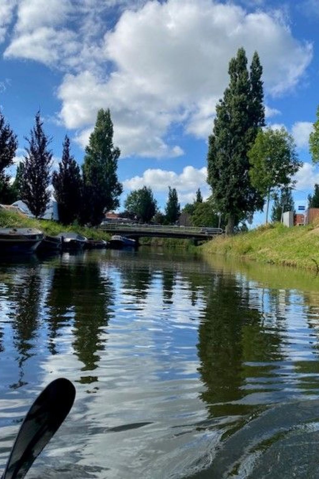 Verblijf 460132 - Appartement IJsselmeerkust - Appartement Tami