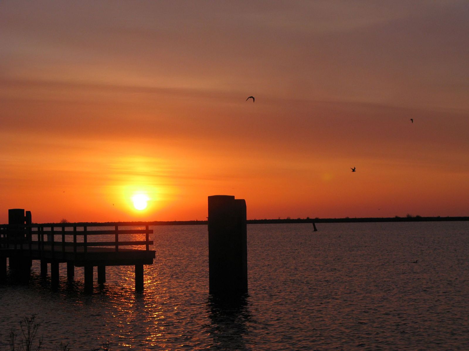 Verblijf 460136 - Vakantiewoning IJsselmeerkust - Vakantiehuis in Wervershoof mit Sonniger Terrasse