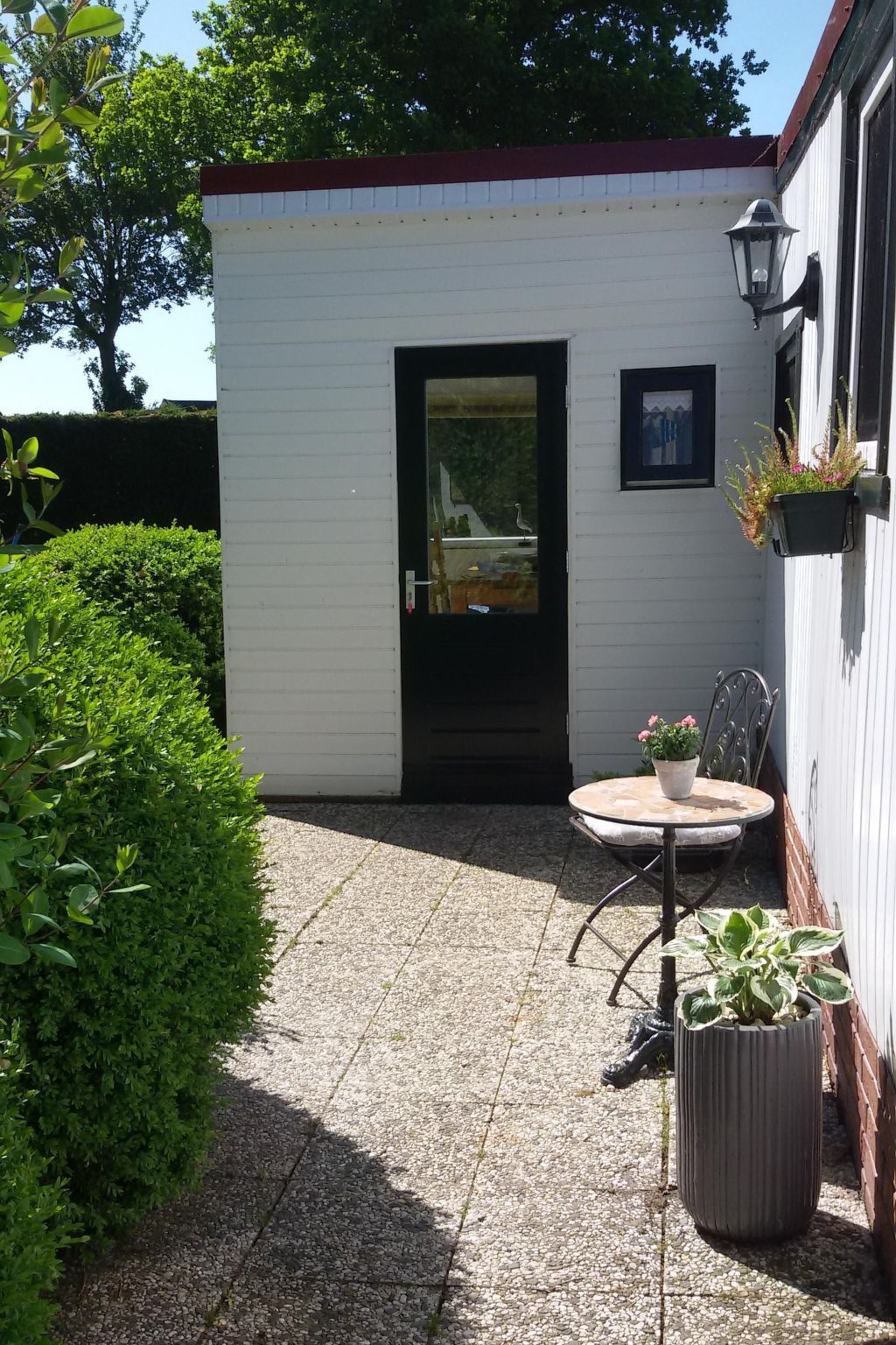 Guest house 460140 - Apartment IJsselmeerkust - Appartement Haus Jule