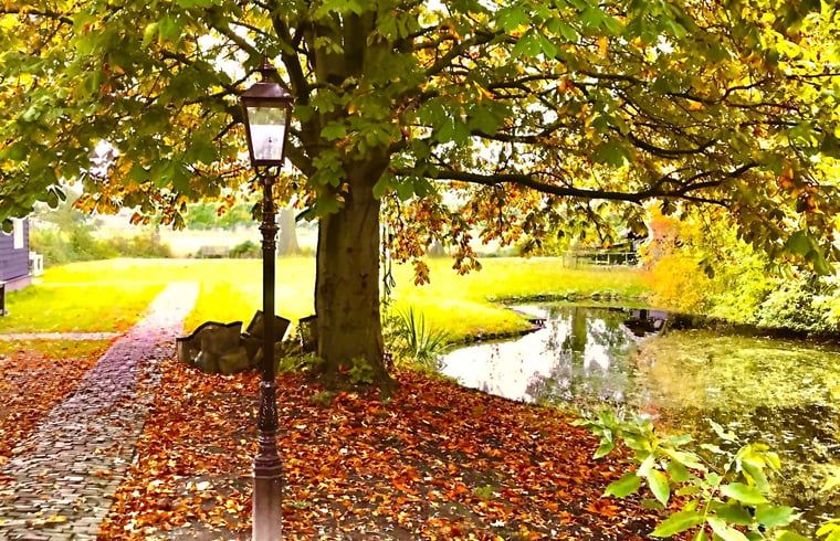 Autumn colors around Holiday home in Andijk, an idyllic setting on the IJsselmeer coast.