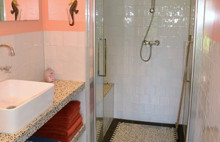 Moderne badkamer met douche in Vakantiehuis in Andijk, ideaal voor een verfrissende start van de dag aan de IJsselmeerkust.