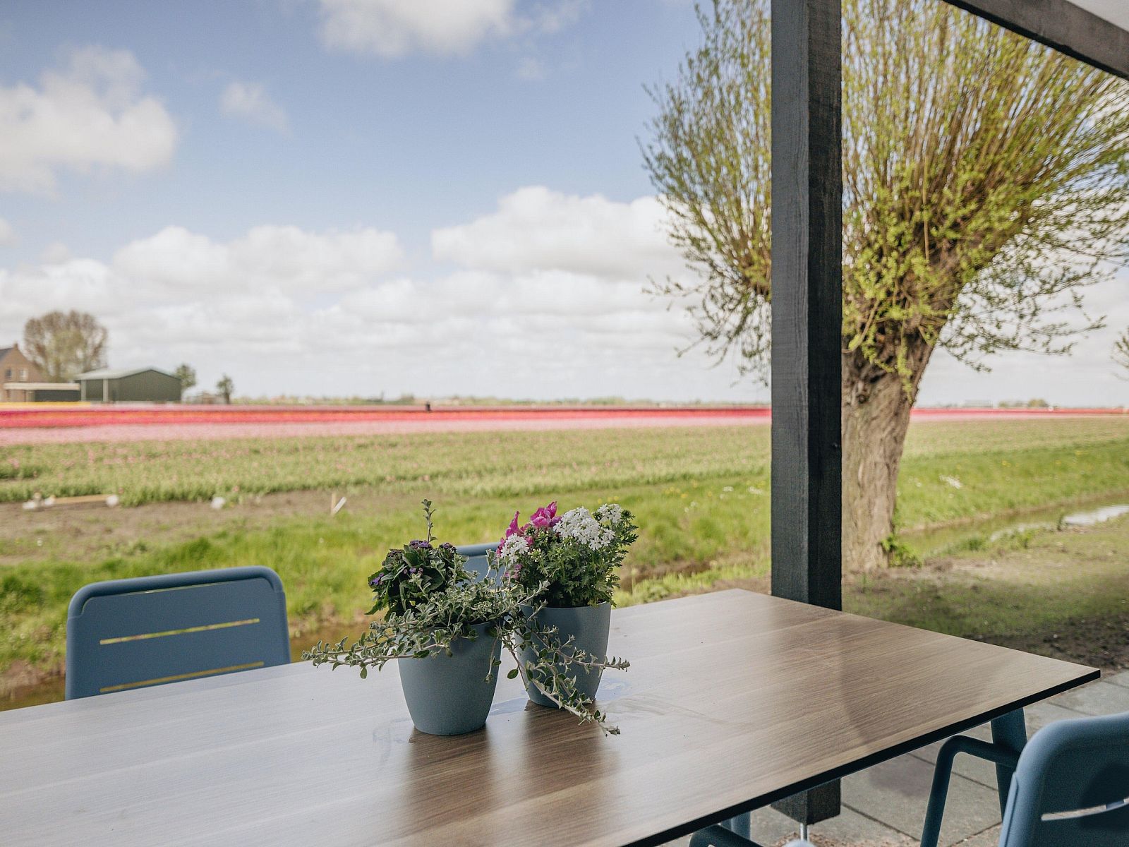 Guest house 460520 - Bungalow IJsselmeerkust - Park Wijdenes 4