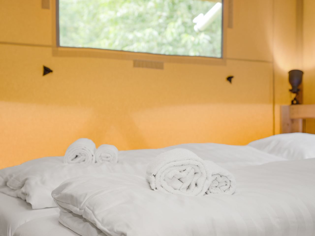 Unterkunft 461615 - Ferienhaus IJsselmeerkust - 4-5-persoons safaritent | 4-5S1