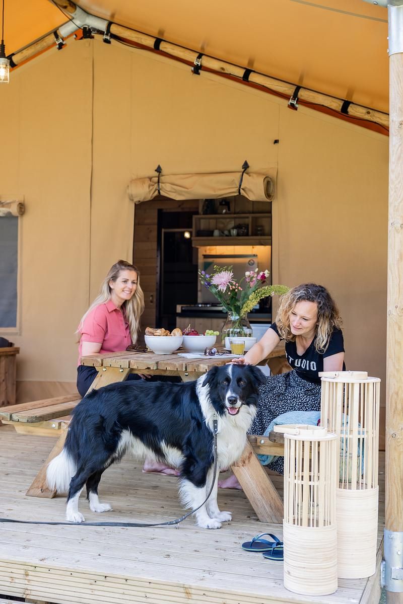 Enjoy yourself on the terrace of De Bos Tent, an attractive glamping lodge in Huizen, IJsselmeer coast, North Holland, with a cozy outdoor area.