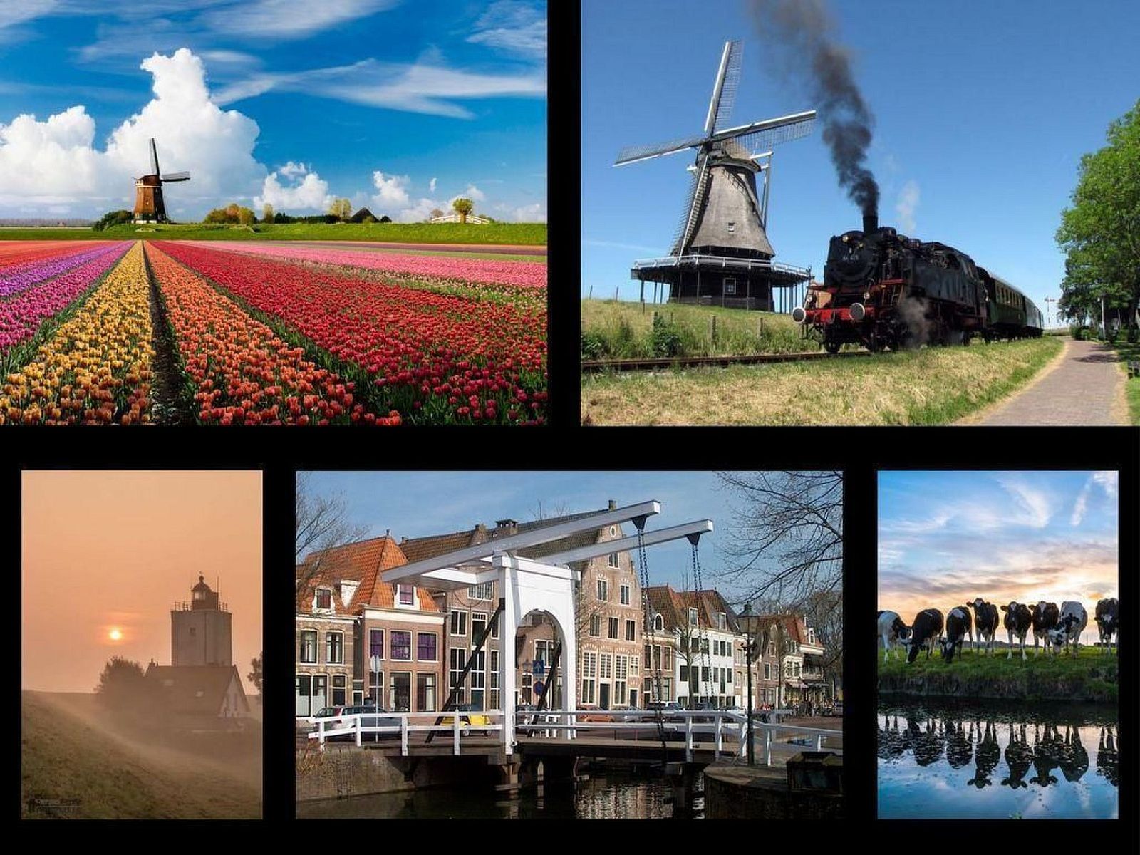 Verblijf 462510 - Vakantiewoning IJsselmeerkust - Vakantiehuis Exklusive Ferienhäuser Markermeer