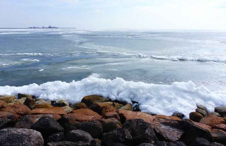 Unterkunft 462810 - Ferienhaus IJsselmeerkust - Vakantiehuisje in Schellinkhout