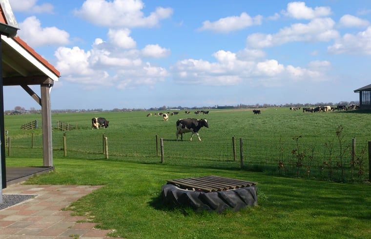 Unterkunft 462810 - Ferienhaus IJsselmeerkust - Vakantiehuisje in Schellinkhout
