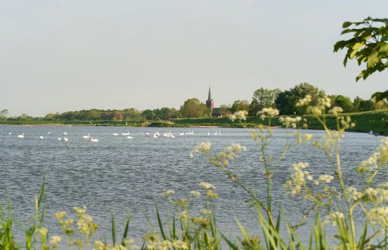 Unterkunft 462810 - Ferienhaus IJsselmeerkust - Vakantiehuisje in Schellinkhout