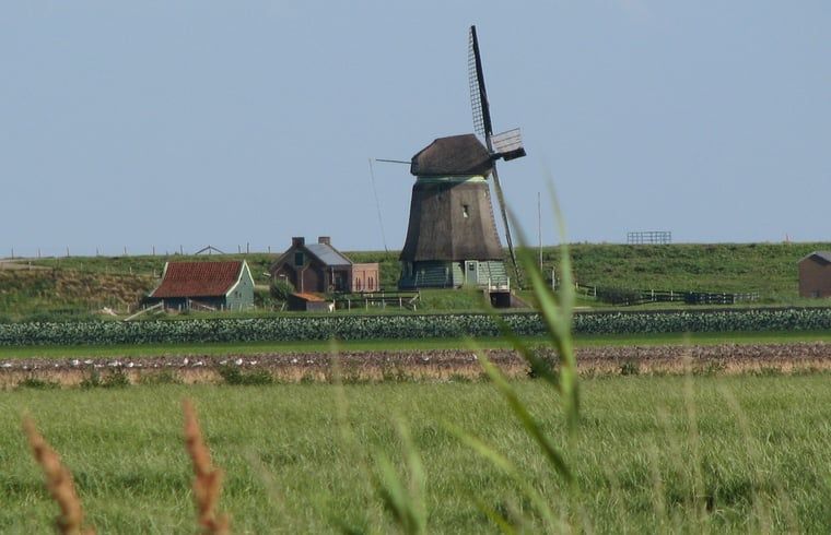 Unterkunft 462810 - Ferienhaus IJsselmeerkust - Vakantiehuisje in Schellinkhout
