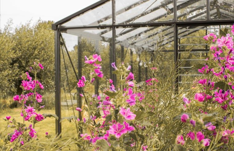 Unterkunft 463001 - Ferienhaus IJsselmeerkust - Huisje in Benningbroek