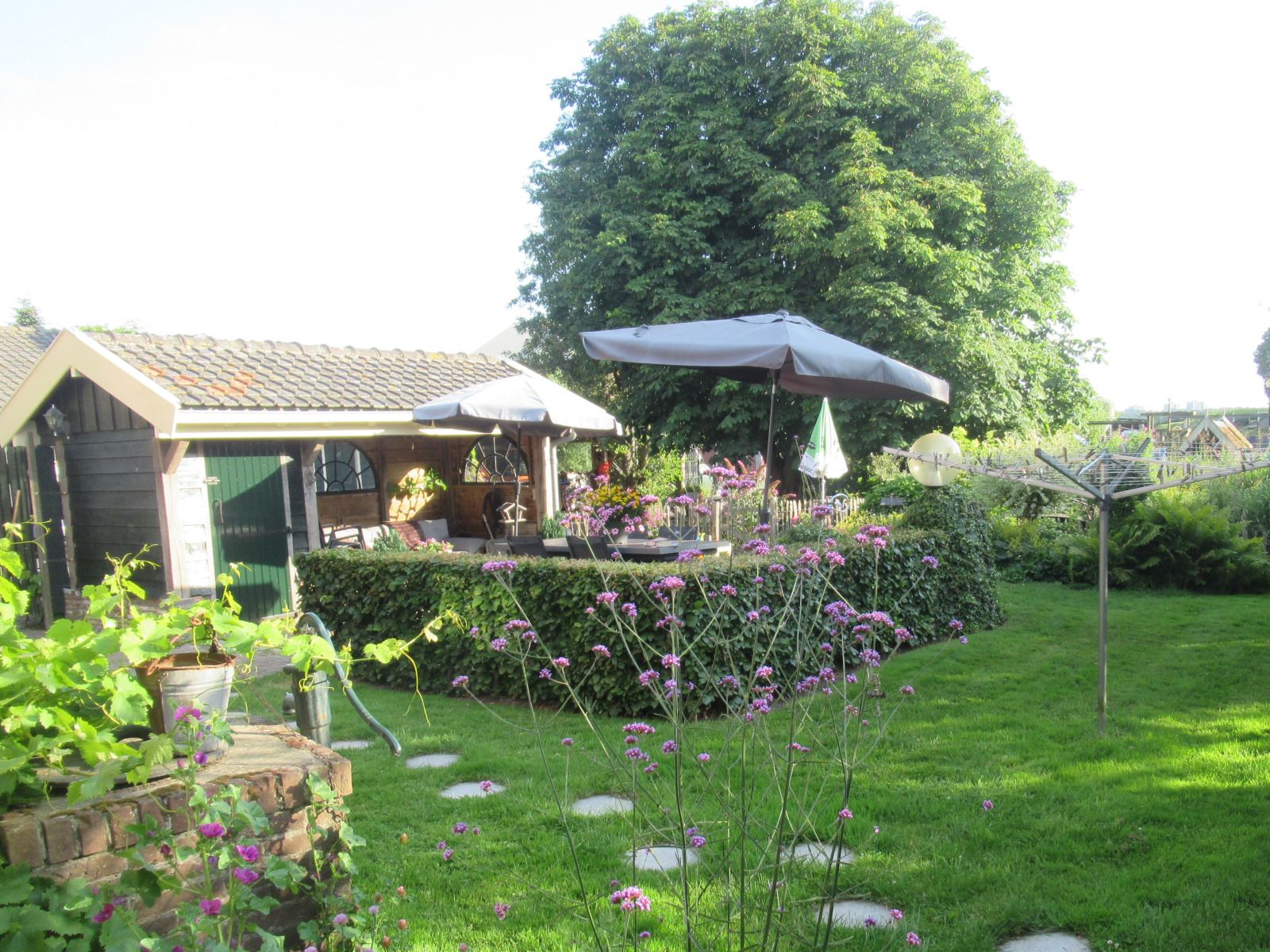 Guest house 463503 - Holiday property IJsselmeerkust - NH558