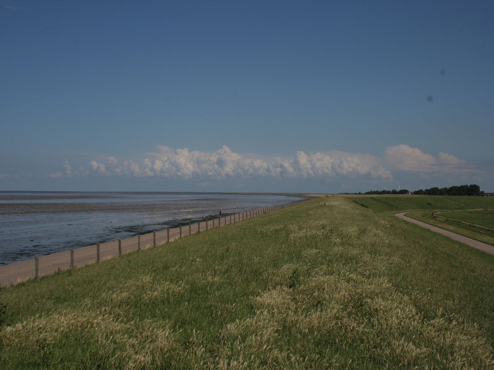 Verblijf 470839 - Chalet Waddenkust - Recreatiepark Wiringherlant - Wiringher Chalet 10