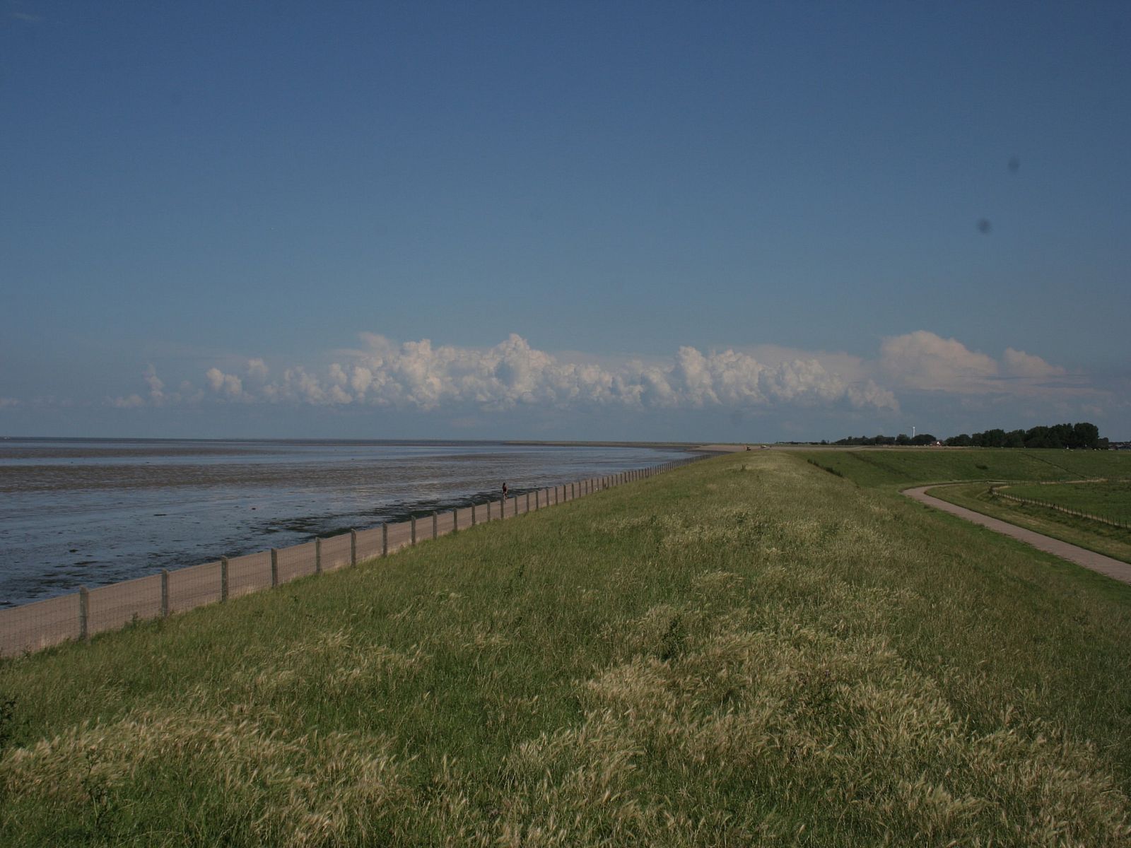 Guest house 470854 - Chalet Waddenkust - Recreatiepark Wiringherlant - Wiringher Chalet 83