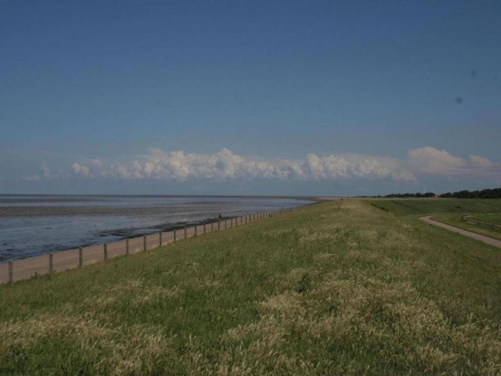 Guest house 470854 - Chalet Waddenkust - Recreatiepark Wiringherlant - Wiringher Chalet 83