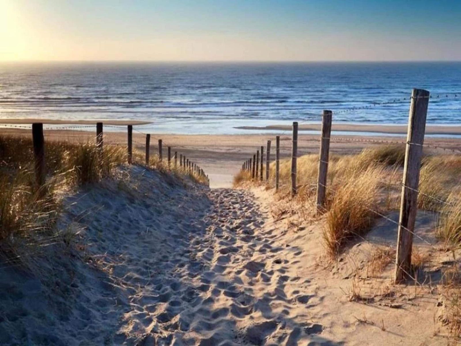 Guest house 470854 - Chalet Waddenkust - Recreatiepark Wiringherlant - Wiringher Chalet 83