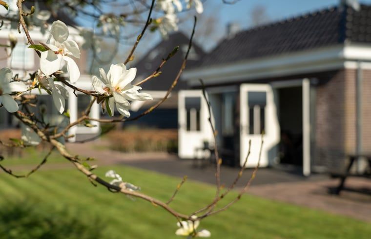 Verblijf 471304 - Vakantiewoning Waddenkust - Vakantiehuisje in Breezand