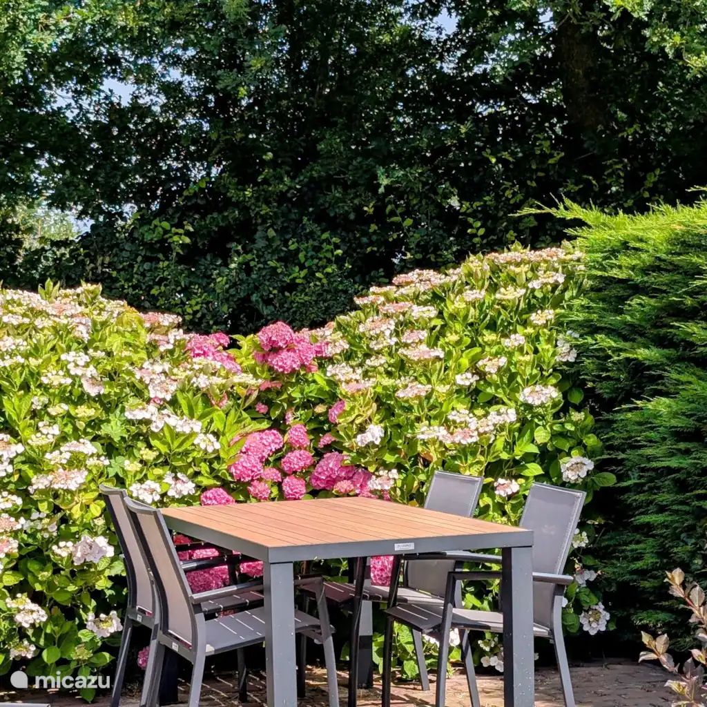 Verblijf 480337 - Appartement Noord-Holland noord - Bullekroffie Appartement Roodbont