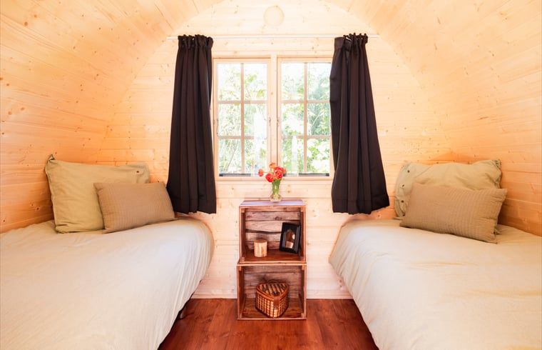 Guest house 480705 - Holiday property Noord-Holland noord - Vakantiehuisje in Barsingerhorn