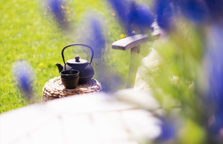 Guest house 480705 - Holiday property Noord-Holland noord - Vakantiehuisje in Barsingerhorn