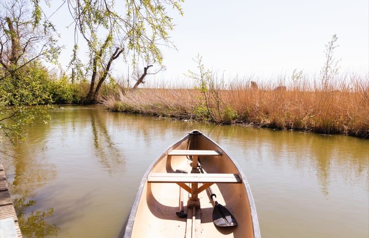 Guest house 480705 - Holiday property Noord-Holland noord - Vakantiehuisje in Barsingerhorn