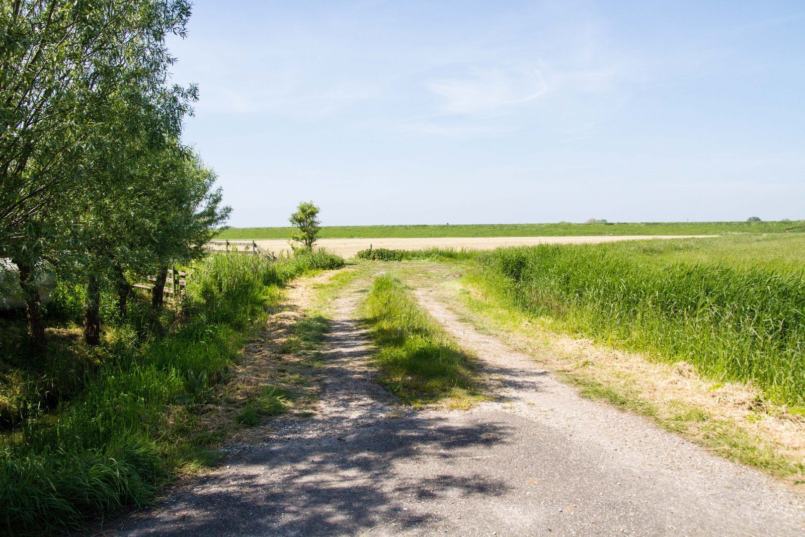 Guest house 481105 - Holiday property Noord-Holland noord - Appartement Nostalgisch