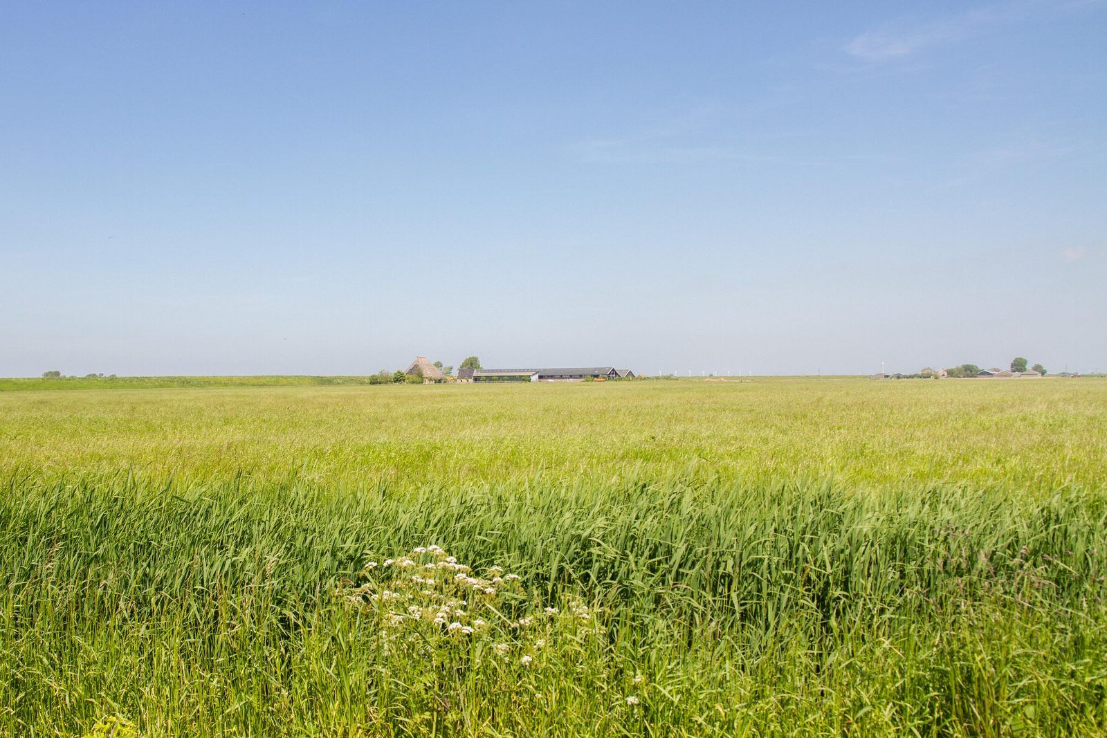 Guest house 481105 - Holiday property Noord-Holland noord - Appartement Nostalgisch