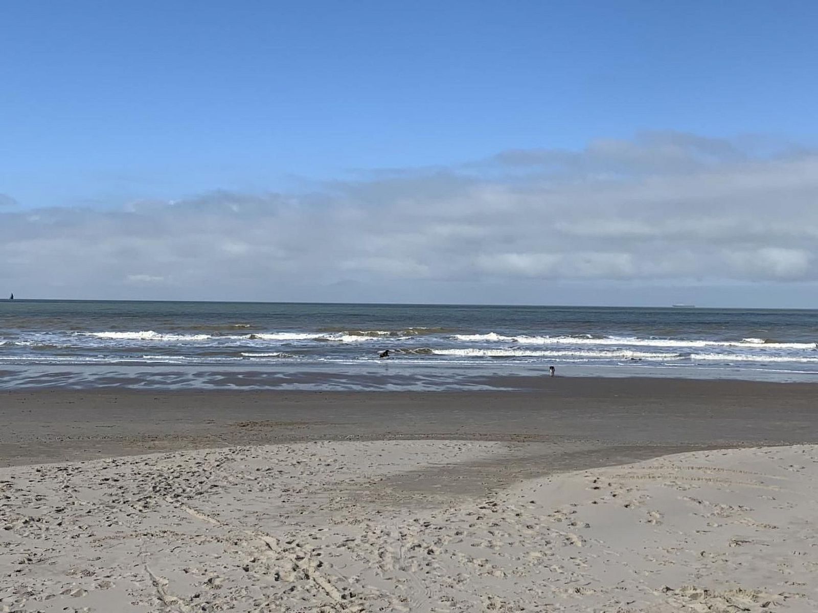 Unterkunft 482018 - Ferienhaus Noord-Holland noord - Vakantiehuis Haus Meeresbrise