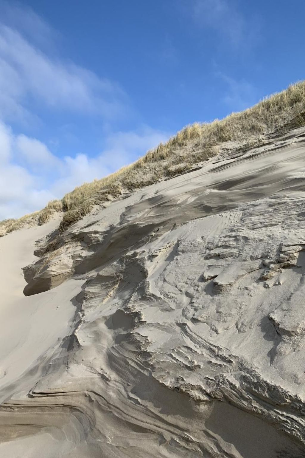 Unterkunft 482018 - Ferienhaus Noord-Holland noord - Vakantiehuis Haus Meeresbrise