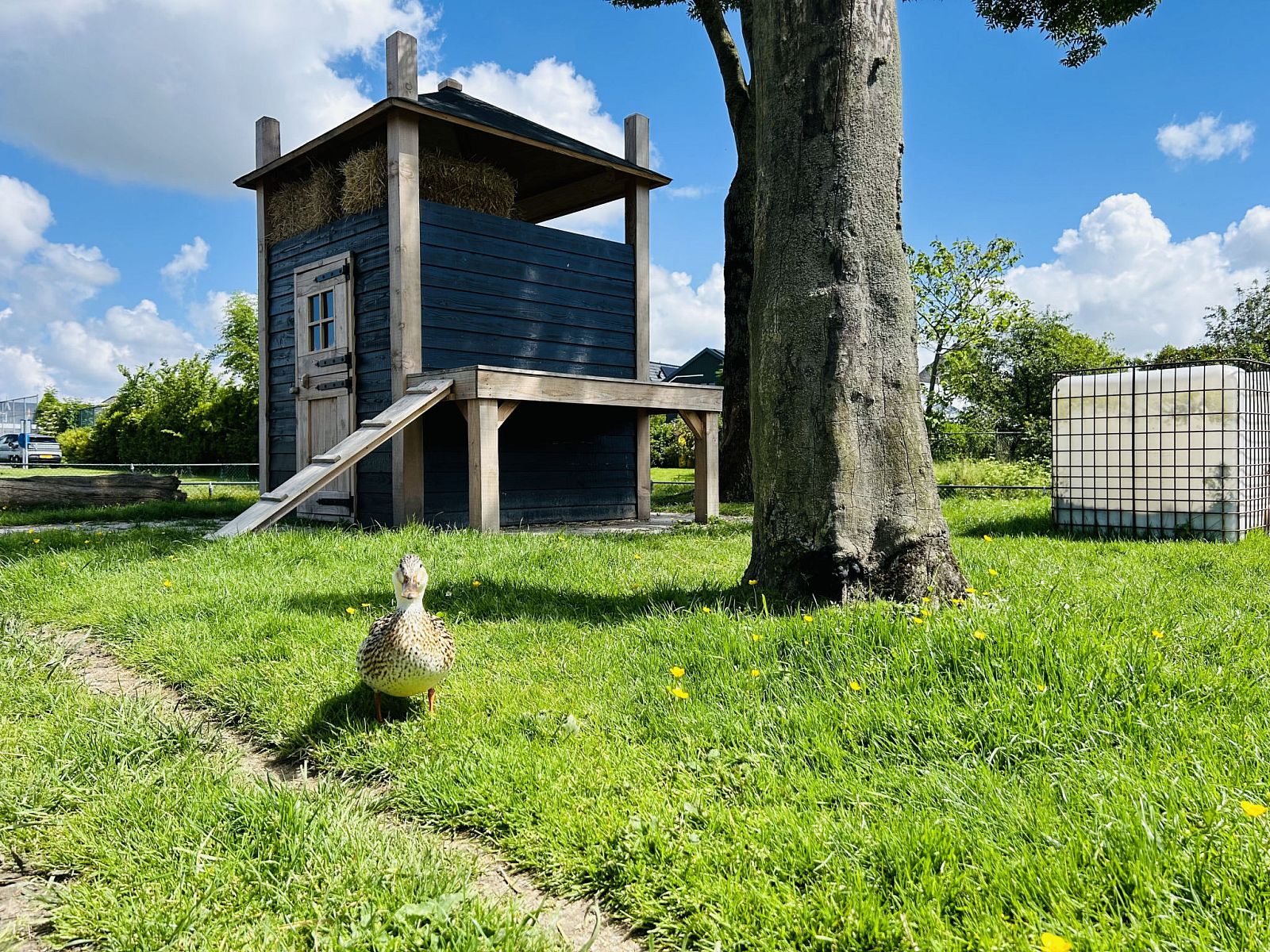 Unterkunft 482021 - Ferienhaus Noord-Holland noord - Vakantiehuis Bungalowpark de Horn - Floresta 214