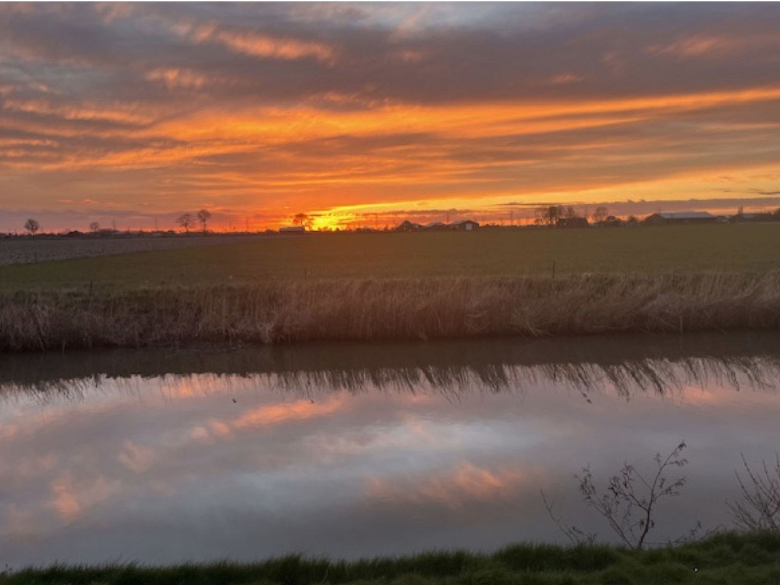 Unterkunft 482022 - Ferienhaus Noord-Holland noord - Vakantiehuis Bungalowpark de Horn - 128