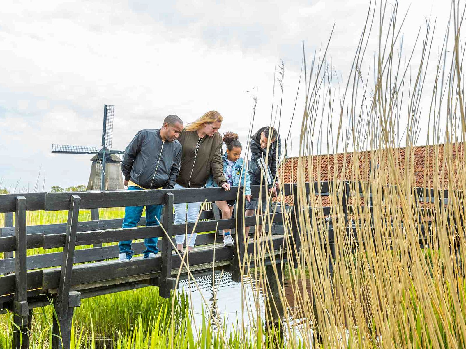 Verblijf 483703 - Vakantiewoning Noord-Holland noord - EuroParcs Molengroet