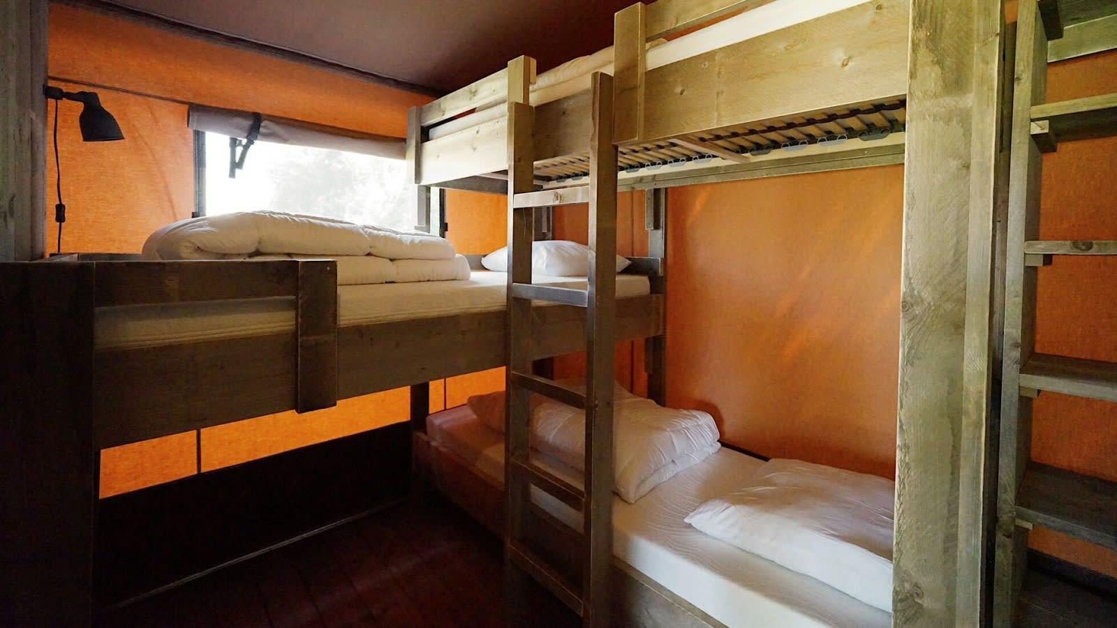 Unterkunft 483761 - Zelthaus Noord-Holland noord - Glampingtent Desert