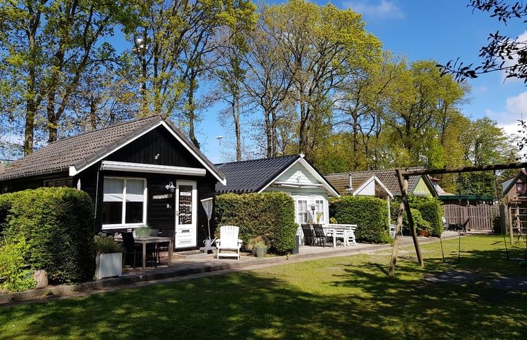 Guest house 4842100 - Holiday property Noord-Holland noord - Vakantiehuisje in Schoorl