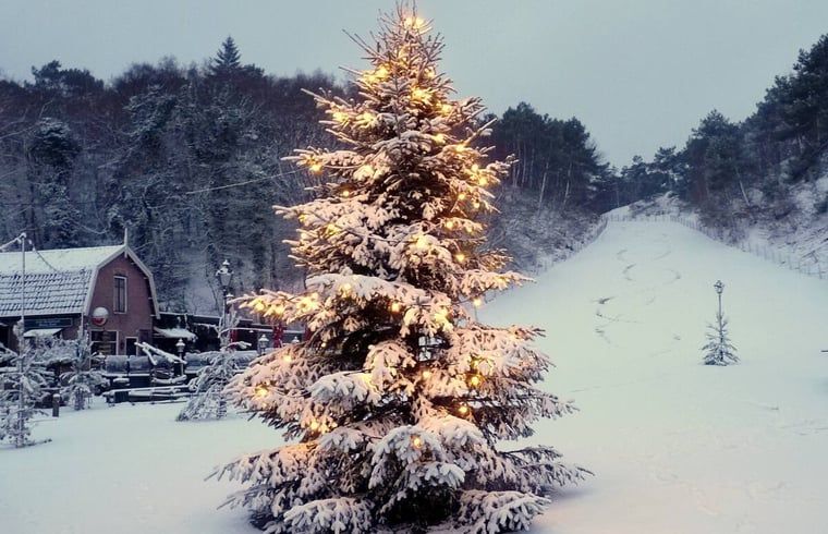 Guest house 4842100 - Holiday property Noord-Holland noord - Vakantiehuisje in Schoorl