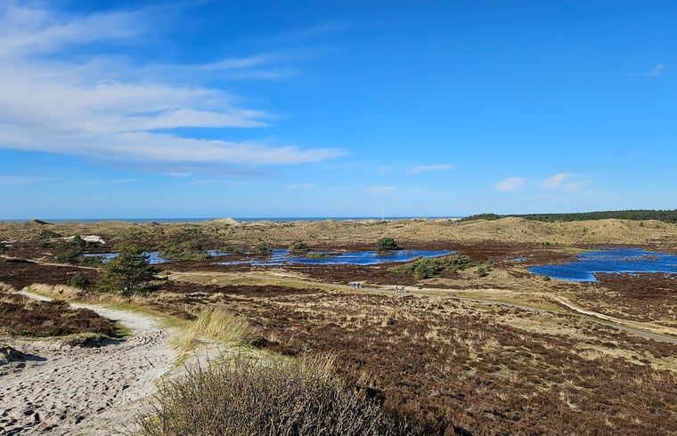 Guest house 4842100 - Holiday property Noord-Holland noord - Vakantiehuisje in Schoorl