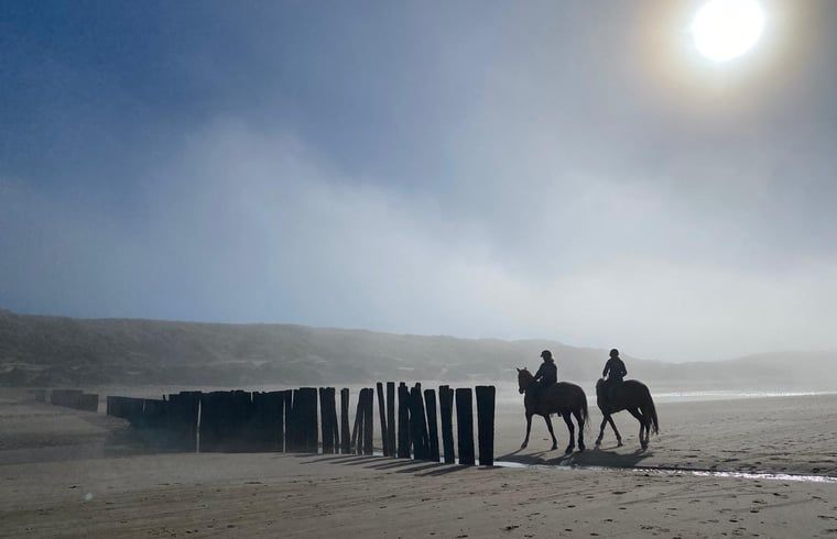 Guest house 4842107 - Holiday property Noord-Holland noord - Huisje in Schoorl