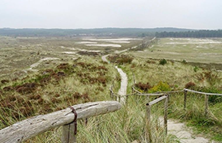 Guest house 4842107 - Holiday property Noord-Holland noord - Huisje in Schoorl