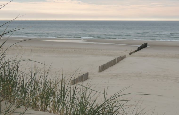 Guest house 4842107 - Holiday property Noord-Holland noord - Huisje in Schoorl