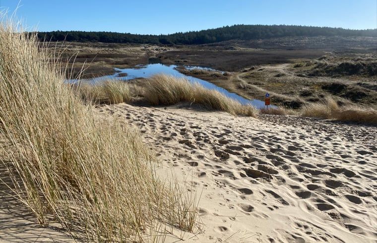 Guest house 4842107 - Holiday property Noord-Holland noord - Huisje in Schoorl