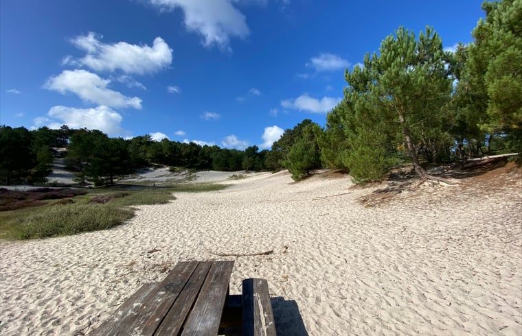 Guest house 4842107 - Holiday property Noord-Holland noord - Huisje in Schoorl