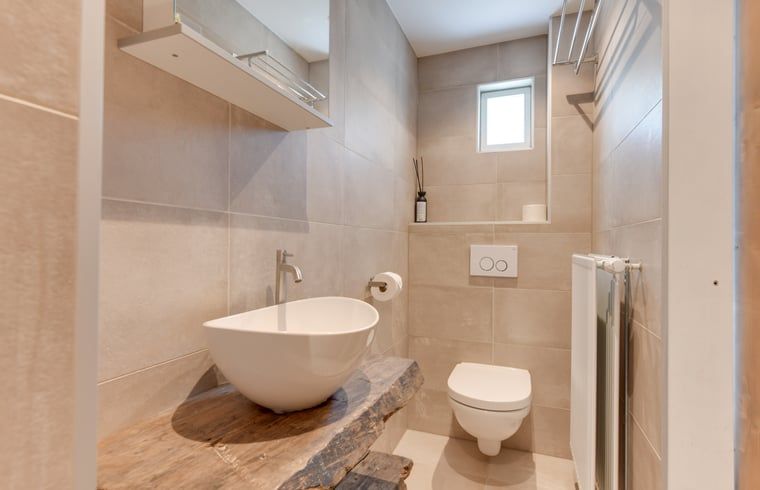 Moderner Toilettenraum im Ferienhaus in Schoorl, Nordholland Nord, Nordholland, mit elegantem Design.